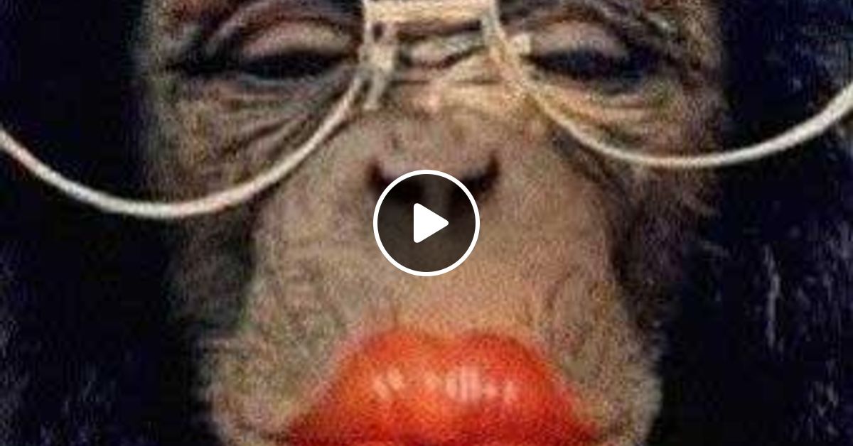 Barbara Novak Monkey Sex By Barbara Novak Mixcloud