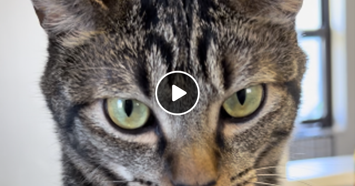 Industrial UK Hardcore Mix From Diver By Diver Mixcloud