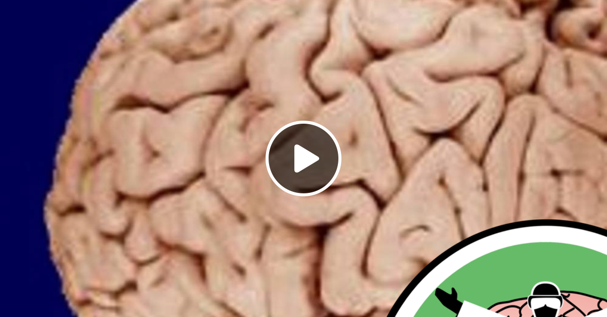 The Naked Scientists Strip Down The Brain In Spain By Naked Neuroscience From The N Mixcloud