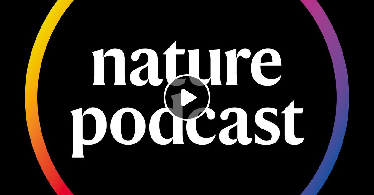 Why Do Naked Mole Rats Live As Long As Giraffes By Nature Podcast
