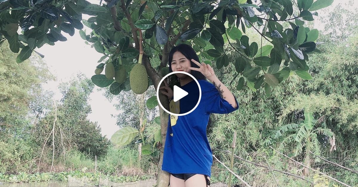 NHẠC PHÁP SƯ TRUNG HOA FACE NU EST REMIX HOT TOP XU HƯỚNG NHẠC TRUNG TẨM ĐÁ by Tuấn Louis