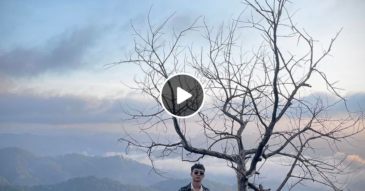 NST VIETMIX HOT TIKTOK Bán Tấm Chân Tình Mix by DTL MUSIC Mixcloud