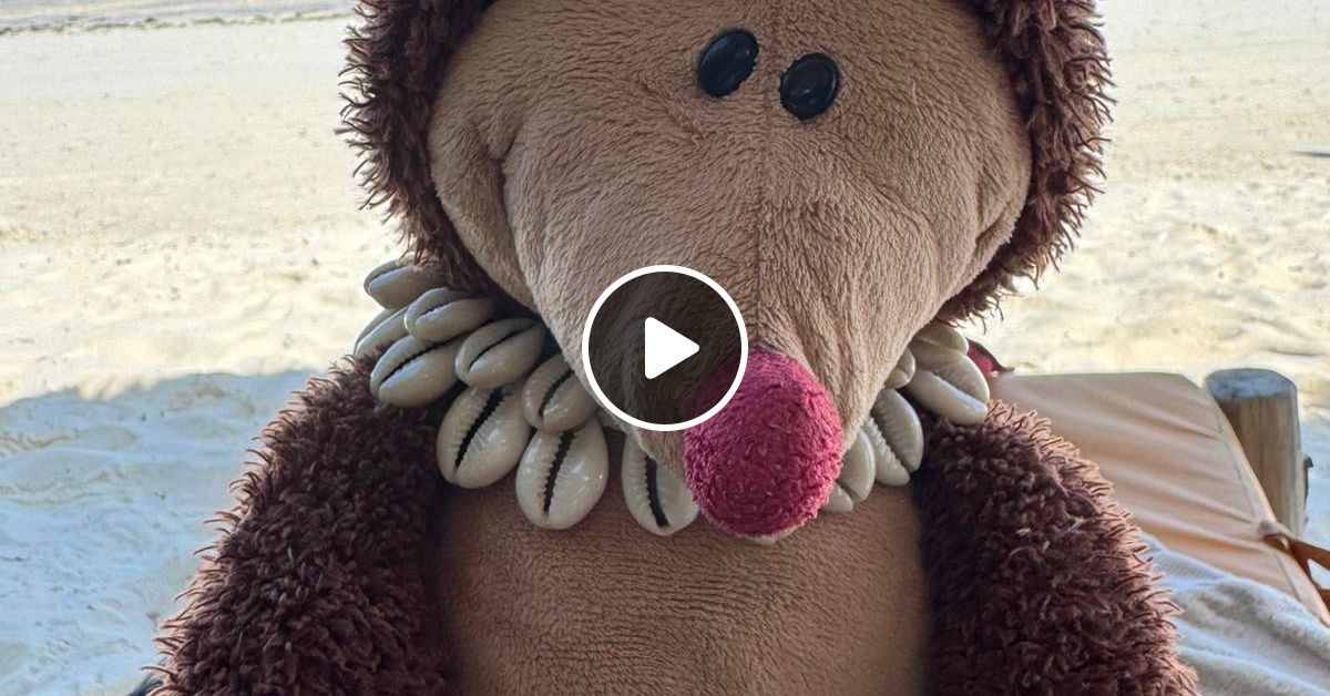 Saturday Night Hot Huse Party Viva La Musica B Z S Prod Dec House Mix By B Z S Productions