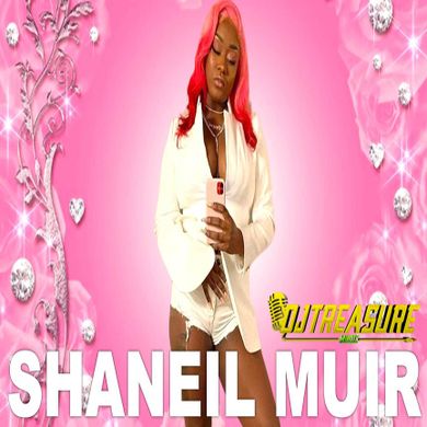 Shaneil Muir Mix Raw Shaneil Muir Dancehall Mix The Top