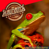 SlowBounce Radio #273 with Dj Septik - Future Dancehall, Tropical Bass