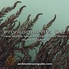 Environments 02 - new worlds to quietly blow your mind mixed by Mike G