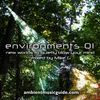 Environments 01 - new worlds to quietly blow your mind mixed by Mike G