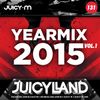 Yearmix 2015 vol. 1 (JuicyLand #131)