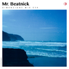 DIM034 - Mr Beatnick