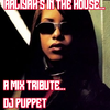 Aaliyah's In The House-A Mix Tribute ( Dj Puppet )