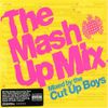 The Mash Up Mix - Mixed by The Cut Up Boys (mix 1)
