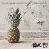 SoulBrigada Setblock #41 for GDS.FM - Guest Mix by Palov (Athens)
