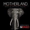 DJ PAULO-MOTHERLAND Vol 2 (Afro & Organic Chill House) 08-2022