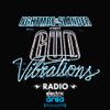 Slander & NGHTMRE (Mad Decent) @ Gud Vibrations Radio 002, Sirius XM Electric Area - NY (02.03.2017)