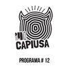 Radio CAPIUSA - Programa # 12 (jueves 23 de junio 2016)