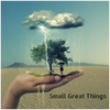 Small Great Things - Manu Of G