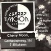 Yves De Ruyter & Franky Kloeck at  Cherry Moon (Lokeren) - 9 July 1994