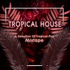Tropical Pop Mix 2017 - Matt Nevin