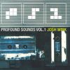 Josh Wink - Profound Sounds Vol. 1 (1999)