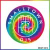 Smalltown DJs - Best Of 2015 Mix