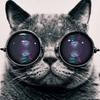 Katze Schroedinger - We Call It Techno Podcast
