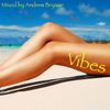 Vibes 2013 (Summer Jams Mix)