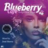 Blueberry Cafe Vol 5 (M-Sol Records) - Mixed by Jose Sierra