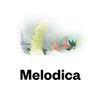 Melodica 13 March 2017