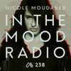 In The MOOD - Episode 238 - Reflections Mix