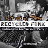 Recycled Funk Episode 30 (4 Da Luv of Reggae)