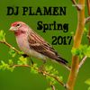 DJ PLAMEN - Spring commercial house mix 2017