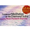 Condensed Meditation on the Diamond Sutra 2016 - Day 2 Session 4