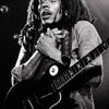 Bob Marley & the Wailers - 1976-05-25 - Civic Theatre - San Diego, CA  SBD
