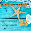 Kevin Lomax - Best of Deep Vocal House vol 25