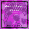 DeepNheat Radio 001 - Astro-Cat