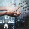 Soulful House Water #36 by DJ Osiruss