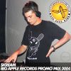 Skream - Big Apple Records - Promo Mix - January 2004
