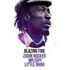 Zaion Rocker en Blazing Fire Reggae Club febrero 2017 live session