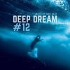 Dave Haze - Deep Dream #12