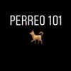 Perreo 101