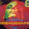 Grooverider @ Dreamscape 8 - NYE 1993