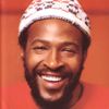 Funked Up Vol. 2: Marvin Gaye, Funkadelic, Lyn Collins, Clarence Reid, The Blackbyrds, T-Connection