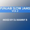 Punjabi Slow Jams Vol2 - DJ Manny B