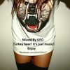 Mixed By Gabriel Great Aka. (UFO) - Turkey bear! It's just music! Enjoy (2013.10.24)