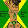 Selecta Kungfu Crazy - Old School Ragga Dancehall Selection Vinyls Mix Direct Vol.3
