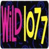DJ Pleez Wild 107 