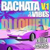 BACHATA VIBES MIX VOL 1 DJ LOUIE V