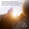 Oceanvs Orientalis - Robot Heart - Burning Man 2015