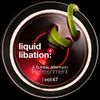 Liquid Libation - A Sunday Afternoon Refreshment | vol 47