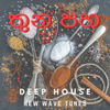 THUNA PAHA - Deep House ( New Wave Tunes mix by Vihanga )